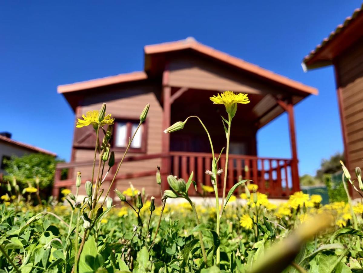 Camping Bungalow Serra De Prades Resort Vilanova de Prades Exteriör bild